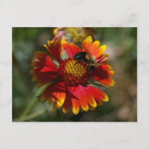 Bienen und Blume Postkarte
