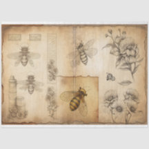 Bienen- und Blumenskizzen Ephemera