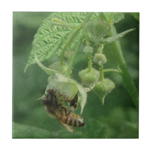 Bienen und Himbeere Blume Fliese