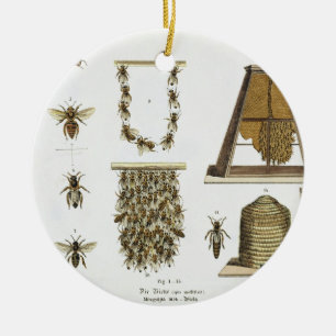 Bienen und Imkerei, "vom jungen Landsman", p Keramikornament