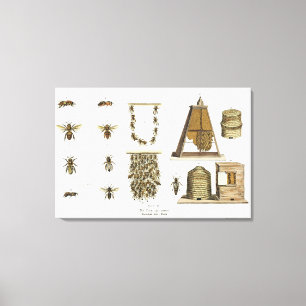 Bienen und Imkerei, "vom jungen Landsman", p Leinwanddruck