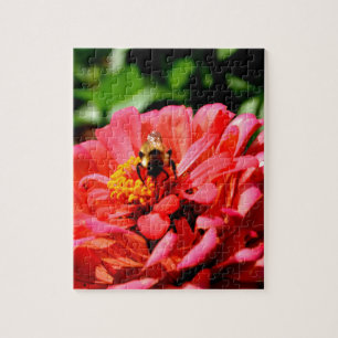 Bienen- und Korallenzinnie Puzzle
