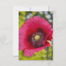 Bienen und Mohn Mitteilungskarte