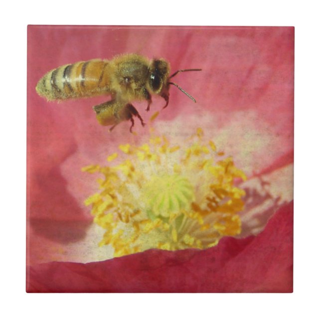Bienen-und Mohnblumen-Blume Fliese (Vorderseite)