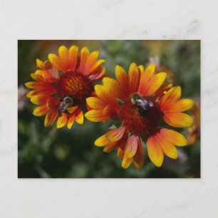 Bienen und orangefarbene Blume Postkarte
