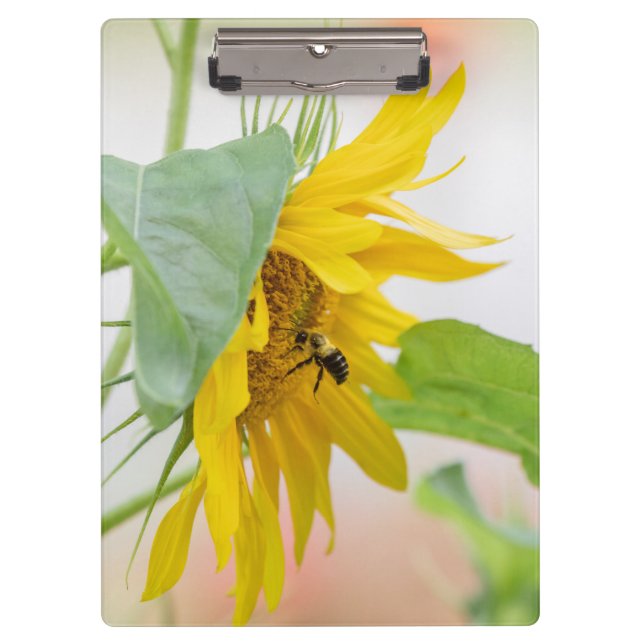 Bienen und Sonnenblumen Klemmbrett (Vorderseite)