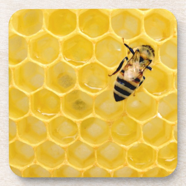 Bienen und Waben Getränkeuntersetzer (Vorderseite)