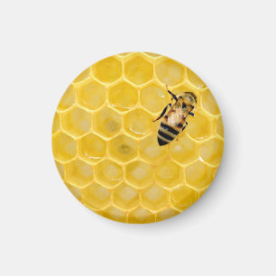 Bienen und Waben Magnet