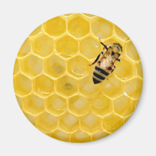 Bienen und Waben Magnet