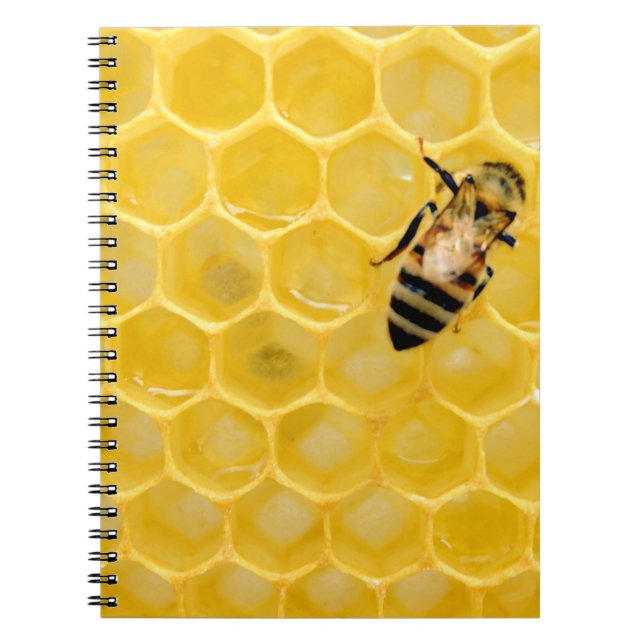 Bienen und Waben Notizblock (Vorderseite)