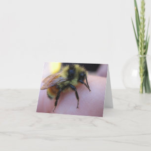 Bienenanmerkungskarte Karte