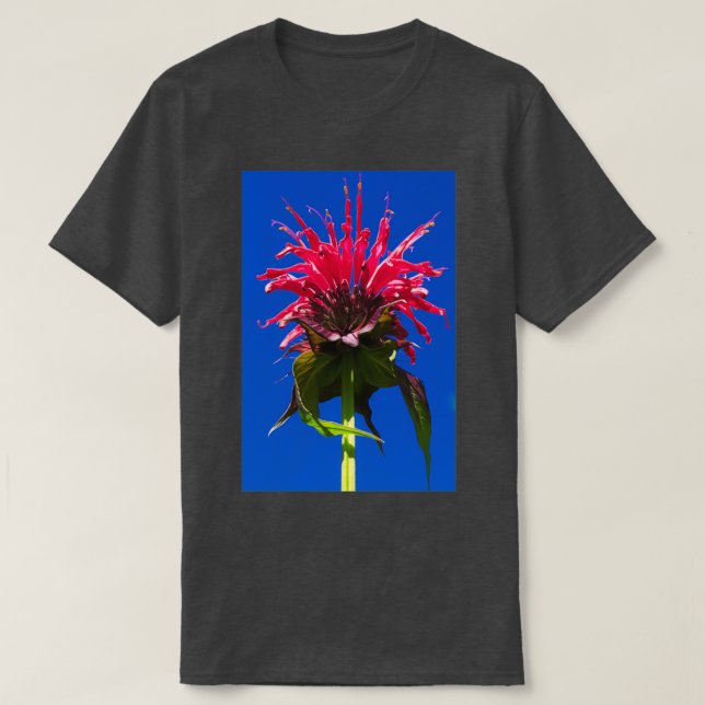 Bienenbalm T-Shirt (Design vorne)