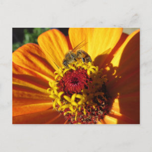 Bienenbefruchtende Blume Postkarte