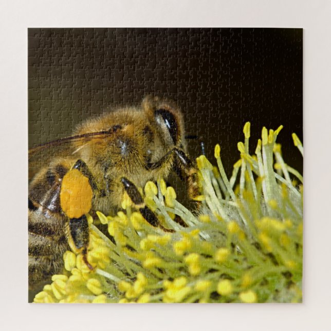 Bienenbefruchtende Blume Puzzle (Vertikal)