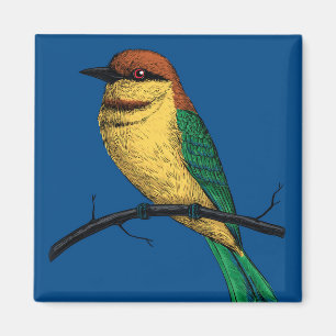 Bienenfresser Magnet