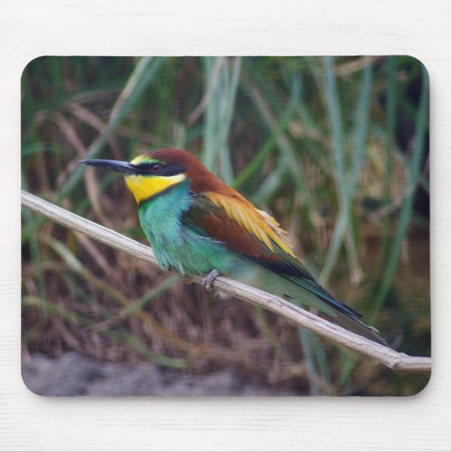 Bienenfresser Mousepad (Vorne)