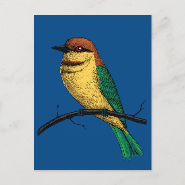 Bienenfresser Postkarte (Vorderseite)