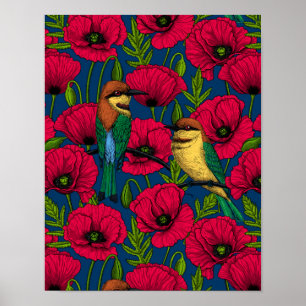Bienenfresser und Mohnblumen Poster