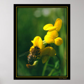 Bienenfrühstück Poster