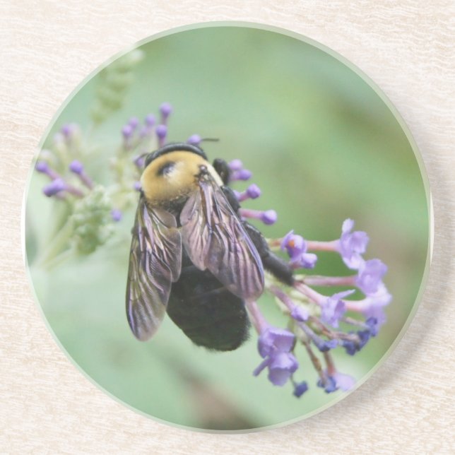 Bienenhaut-Untersetzer Sandstein Untersetzer (Vorne)