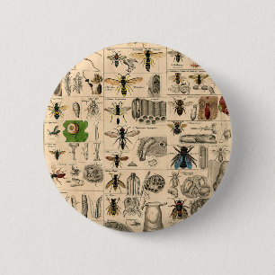 Bieneninsekt-Bug-Wasp-Bienen Button