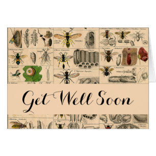 Bieneninsekt-Bug Wasp Naturbienen Malerei