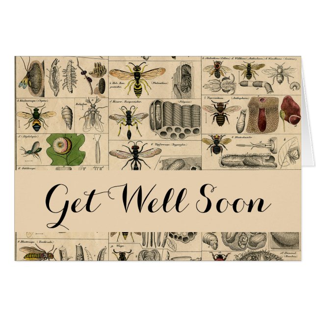 Bieneninsekt-Bug Wasp Naturbienen Malerei (Vorderseite (Horizontal))