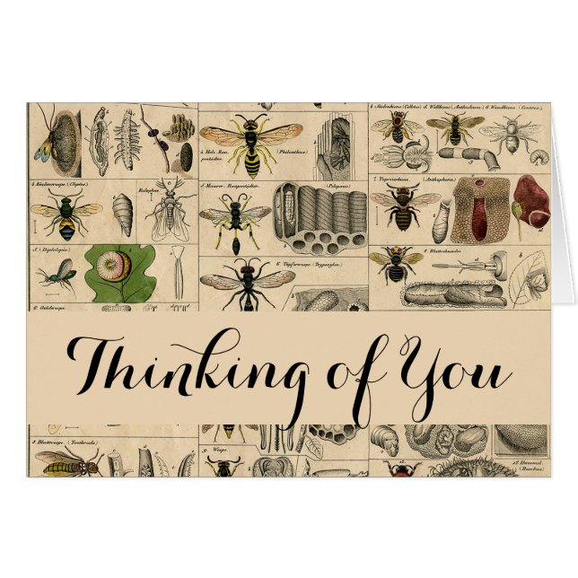 Bieneninsekt-Bug Wasp Naturbienen Malerei (Vorderseite (Horizontal))