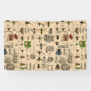 Bieneninsekt-Bug Wasp Naturbienen Malerei Banner