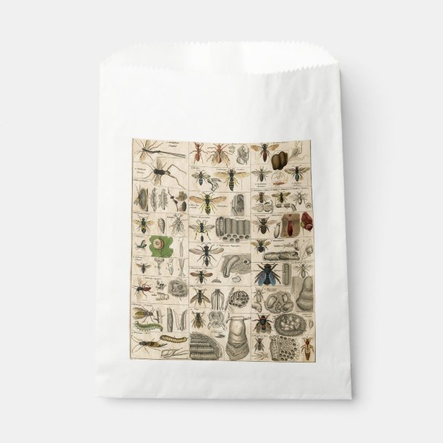 Bieneninsekt-Bug Wasp Naturbienen Malerei Geschenktütchen (Vorderseite)