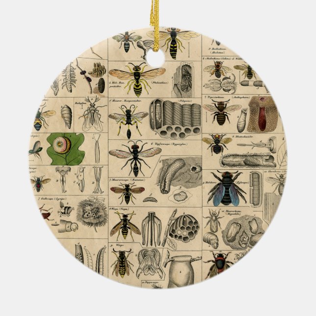 Bieneninsekt-Bug Wasp Naturbienen Malerei Keramik Ornament (Hinten)