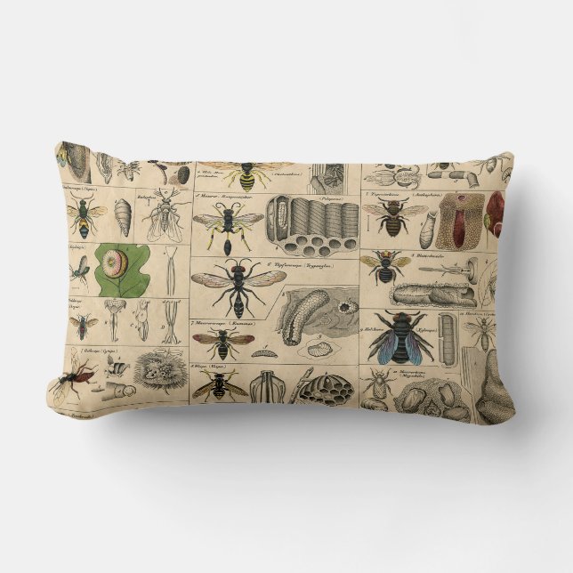 Bieneninsekt-Bug Wasp Naturbienen Malerei Lendenkissen (Vorderseite)