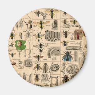 Bieneninsekt-Bug Wasp Naturbienen Malerei Magnet