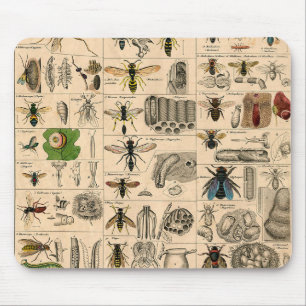 Bieneninsekt-Bug Wasp Naturbienen Malerei Mousepad