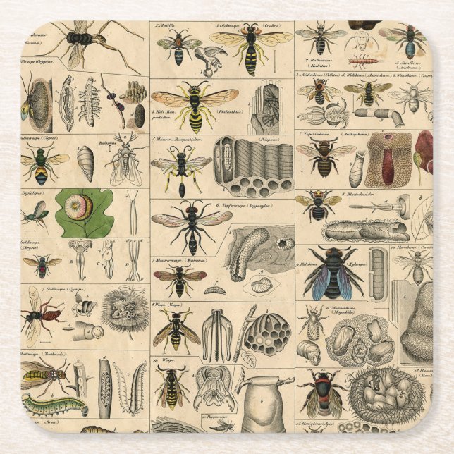 Bieneninsekt-Bug Wasp Naturbienen Malerei Rechteckiger Pappuntersetzer (Vorderseite)