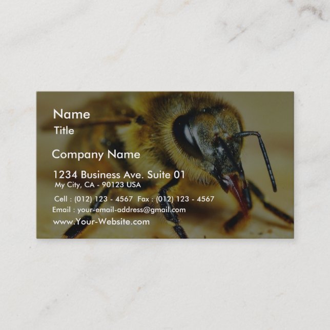 Bieneninsekten Visitenkarte (Vorderseite)