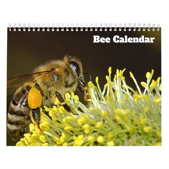 Bienenkalender 2025 kalender (Titelbild)