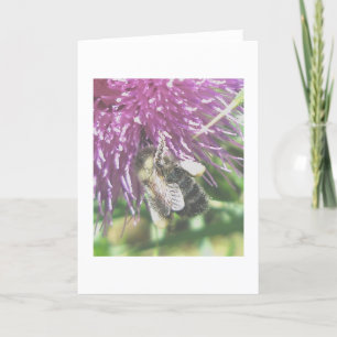 Bienenkarte Ansammlung Der Pollen Feiertagskarte