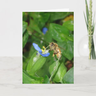 Bienenkarte Karte