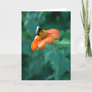 Bienenkarte Karte