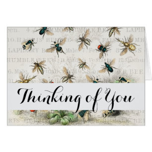 Bienenkleiferin Königin Bienen Antike