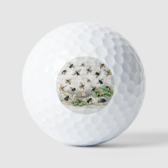 Bienenkleiferin Königin Bienen Antike Golfball (Vorderseite)