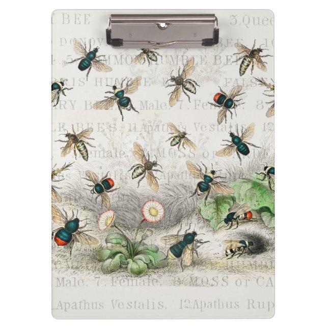 Bienenkleiferin Königin Bienen Antike Klemmbrett (Vorderseite)