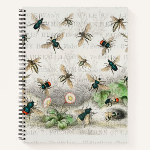 Bienenkleiferin Königin Bienen Antike Notizbuch