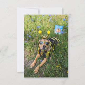 Bienenkostbuch Funny Dog Fotokarte Dankeskarte