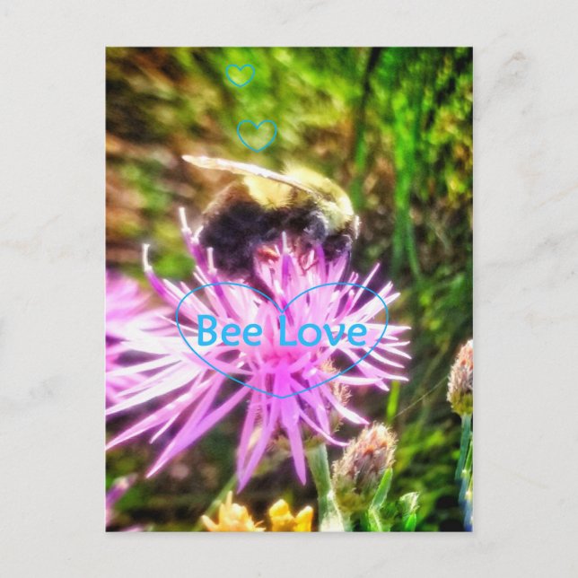BIENENLIEBE ORIGINAL POSTCARD POSTKARTE (Vorderseite)