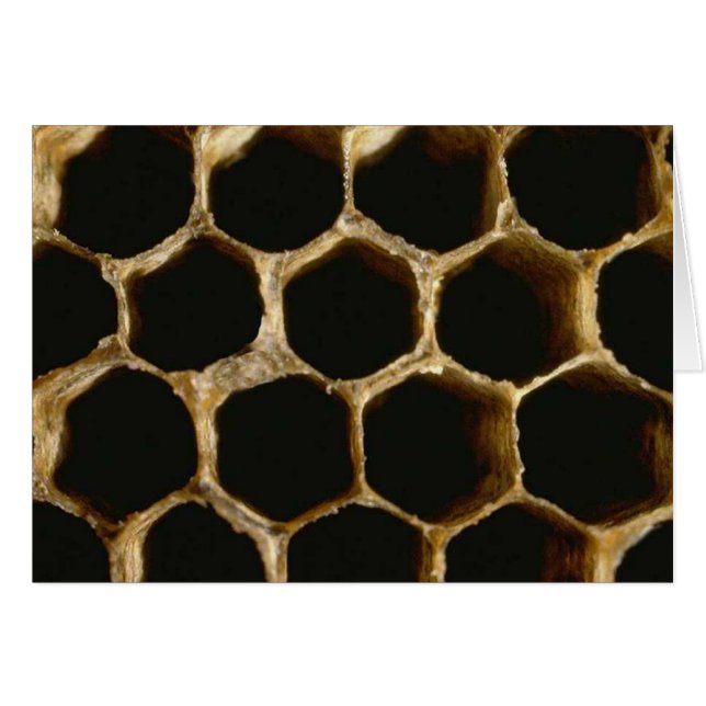 Bienenstock (Vorderseite (Horizontal))