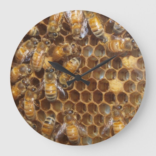 Bienenstock Große Wanduhr (Vorderseite)