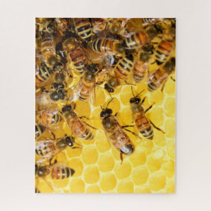 Bienenstock-Honigbienen-Foto-Puzzle Puzzle