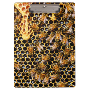 Bienenstock mit Honeycomb Nah Klemmbrett